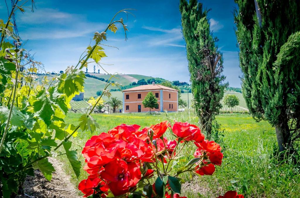 Agriturismo Agrimare Barba photo 3