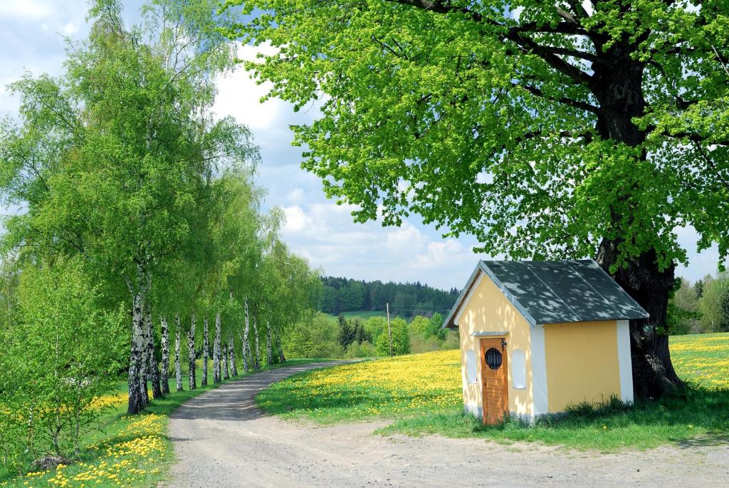 Apartmán - Dům Českého Švýcarska photo 4