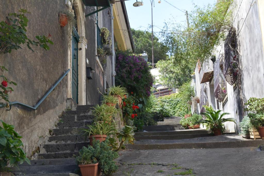 Etna Hiking B&B photo 3