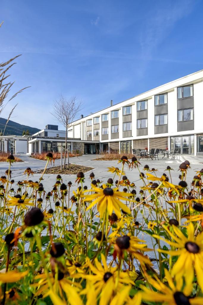 Hurdalsjøen Hotel photo 3
