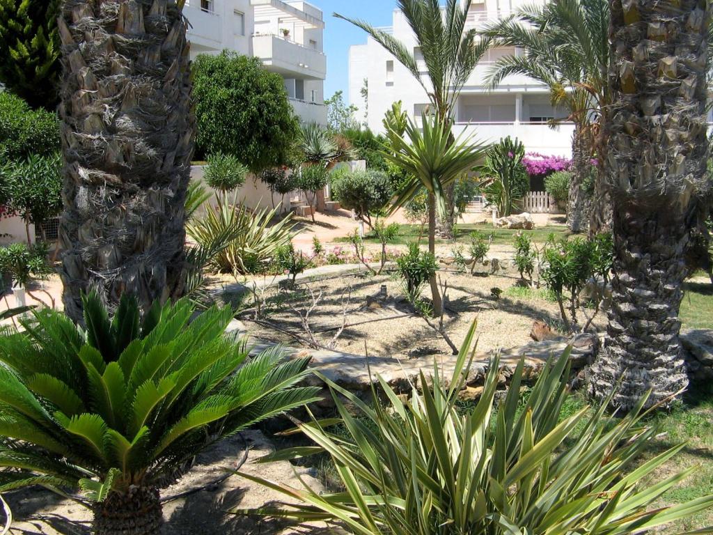 Apartamento VenAVera Playa Dragos 5 La Aldea de Puerto Rey Piscina y Jardines Muy Tranquilo WIFI photo 2