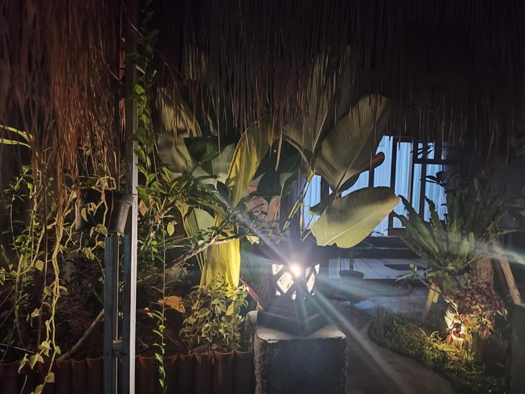 Radeva 2 menjangan villa photo 3