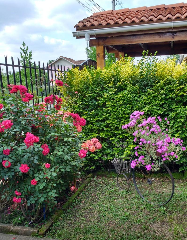 Casa Roble Añejo Bed & Breakfast photo 4