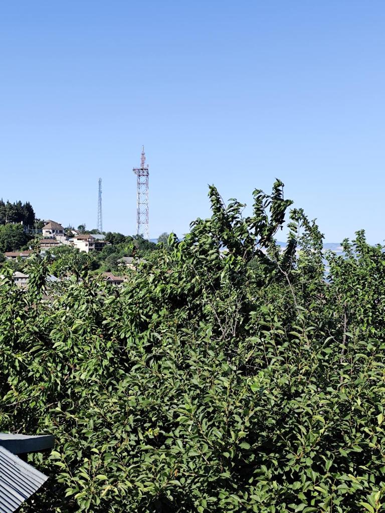 The Walley Shaki Mountinn photo 3