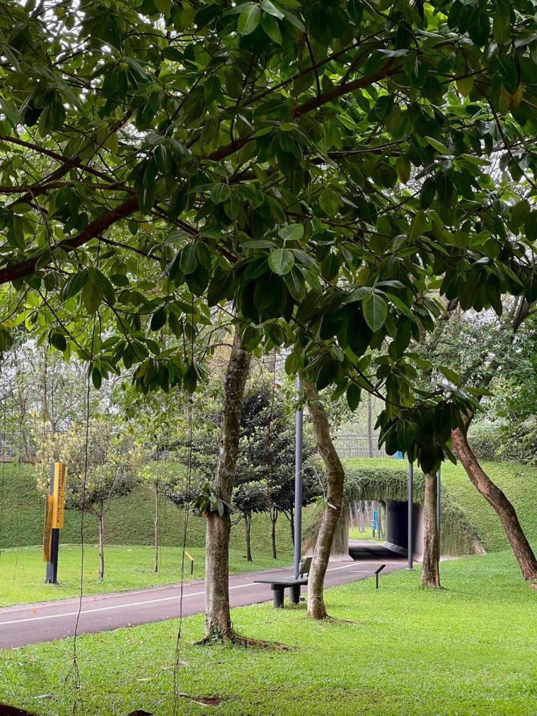 Cozy Fully Furnished 2BR Apartment NavaPark BSD photo 1