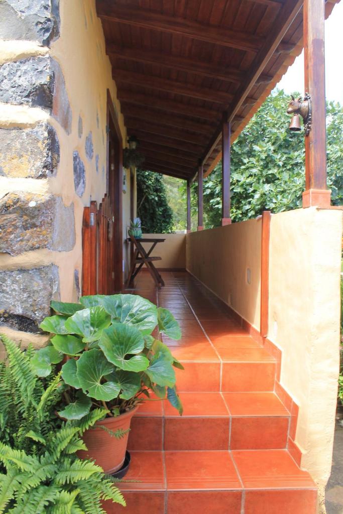 Casa Rural Las Rosas photo 2