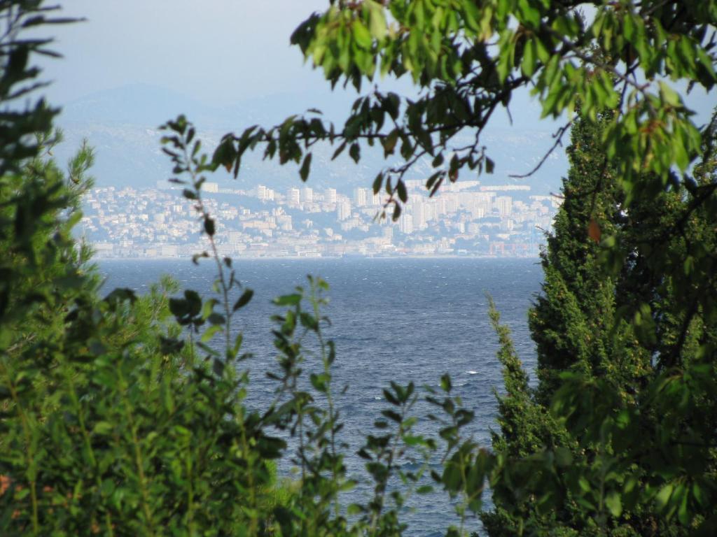 Apartment Cetina photo 3