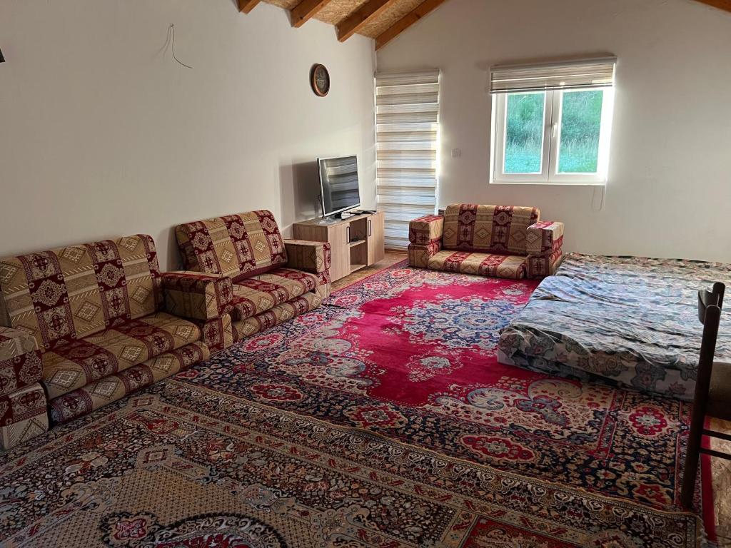Oaza mira -Trnovo photo 3