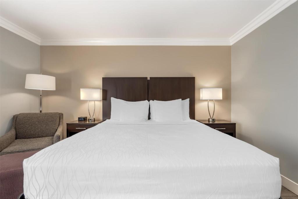 Best Western Plus LA Mid Town Hotel Room Type - King Room - Non-Smoking
