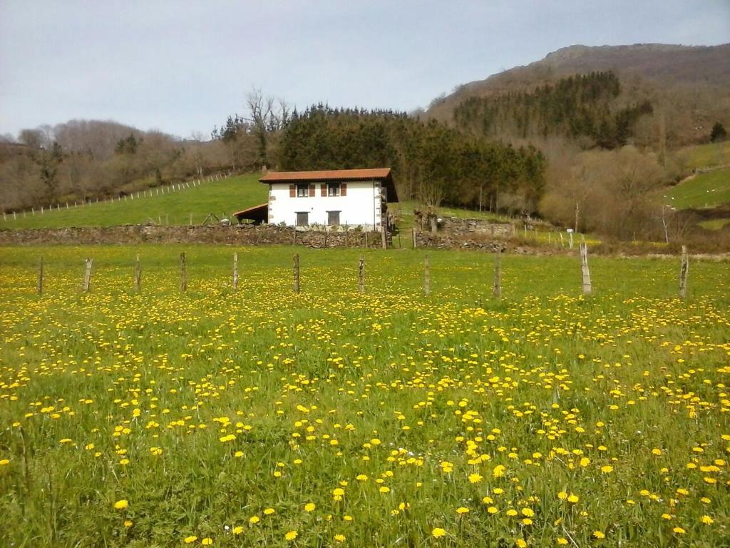 Alberroakoborda photo 4