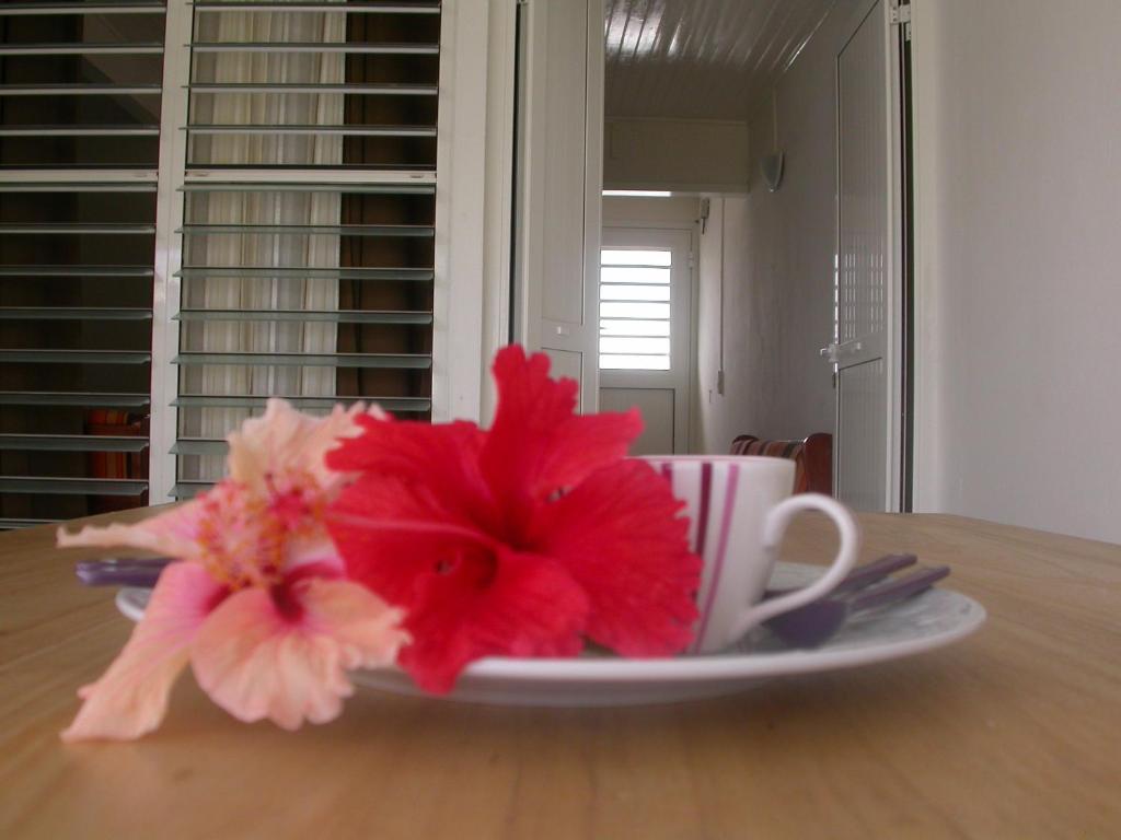 Maison de Vacances à St Anne Martinique photo 4
