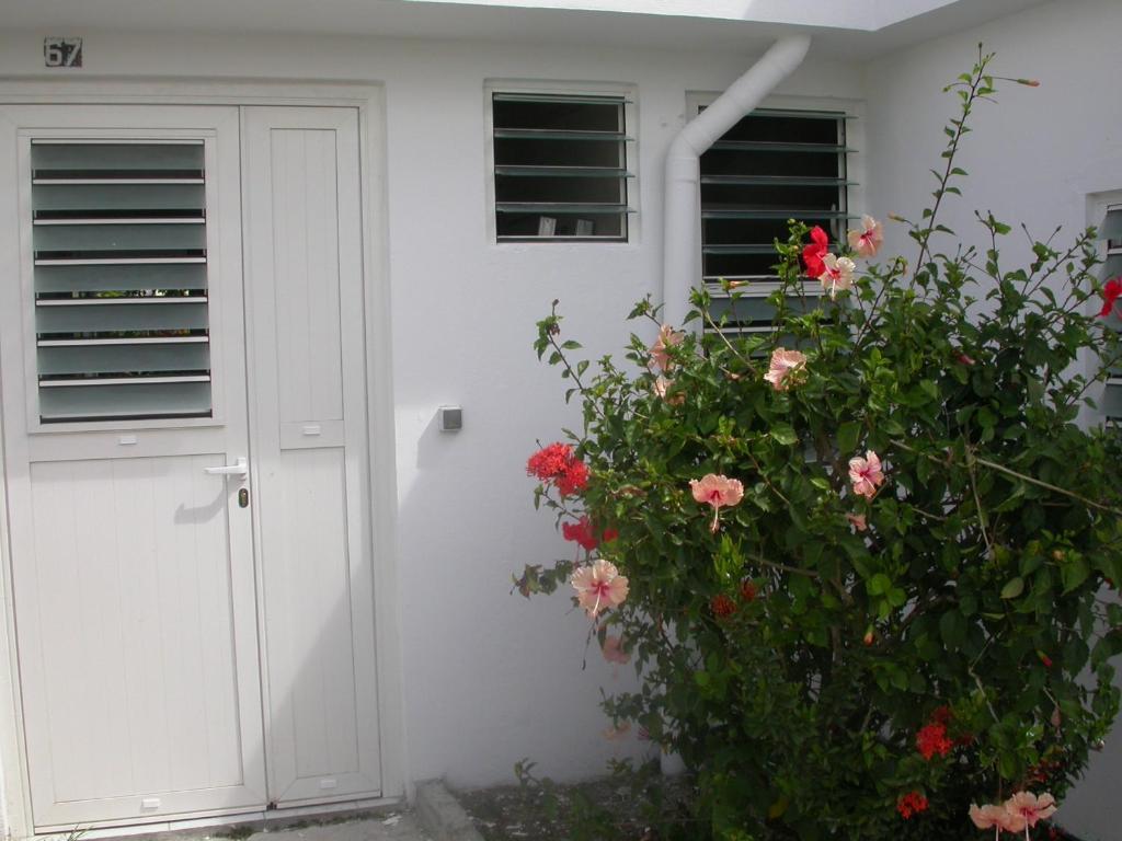 Maison de Vacances à St Anne Martinique photo 3