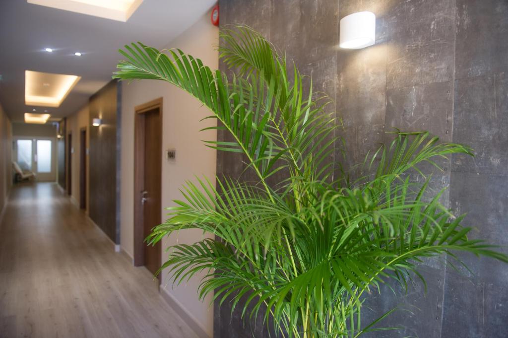 Manolia City Residences photo 1