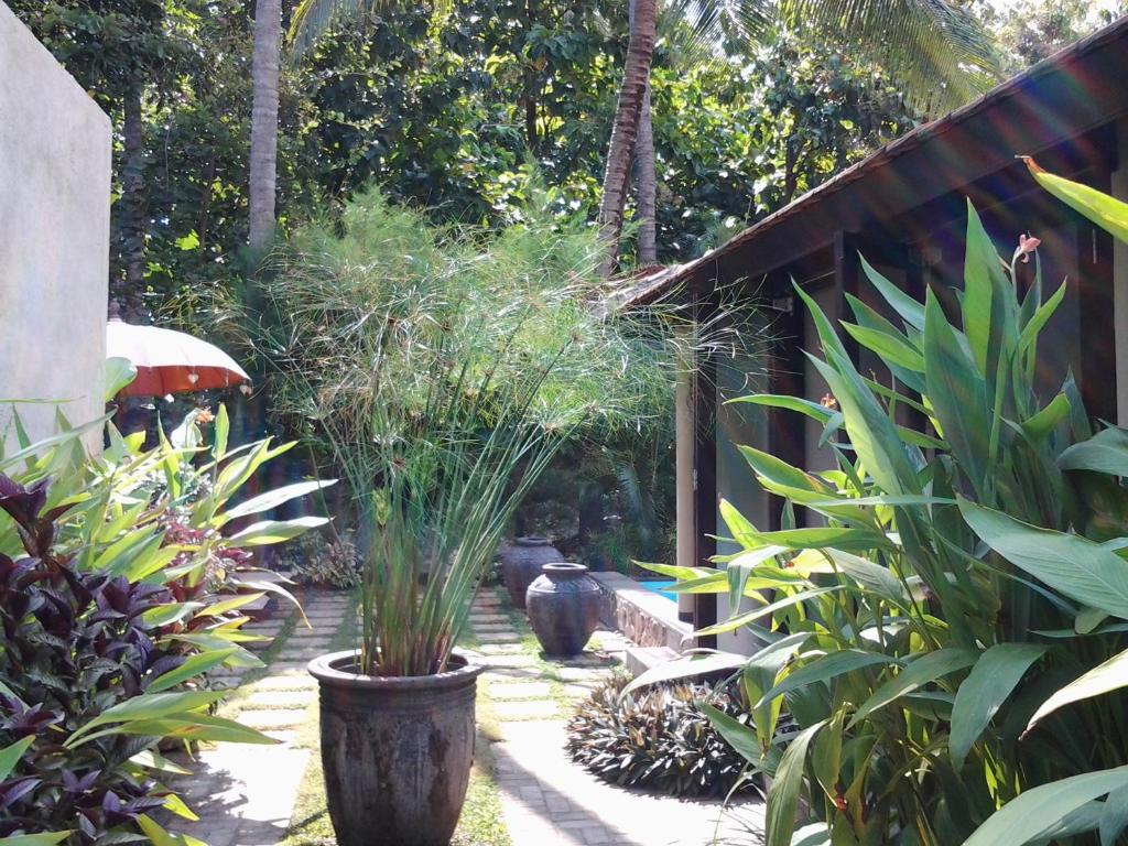 Villa Jati - Private Poolside Villa Central Lovina photo 4