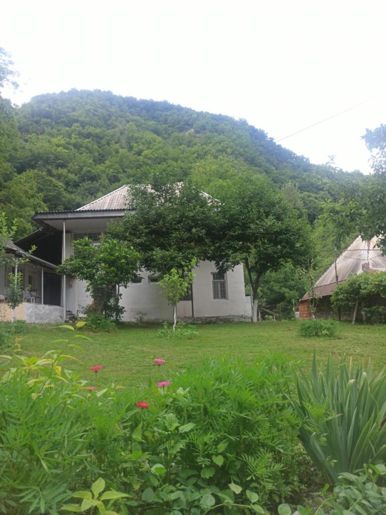 Qax rayonu Ağçay kəndi photo 4