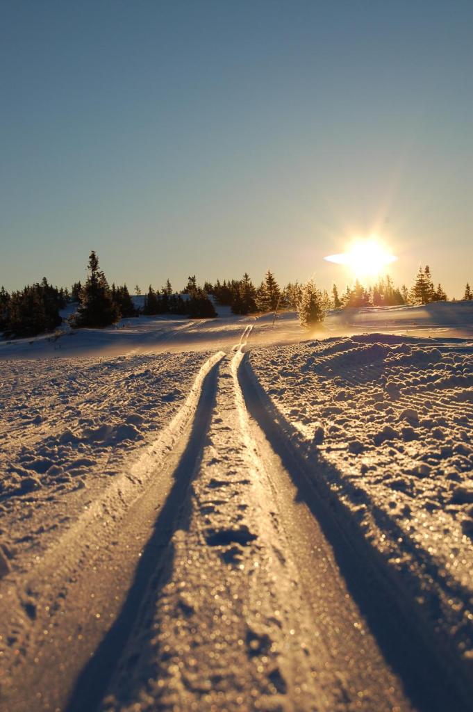 Nordseter Fjellpark, Hyttegrend photo 1