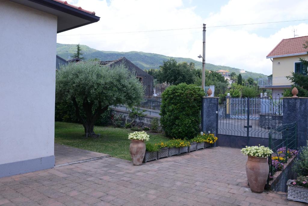 Scatitti House photo 3