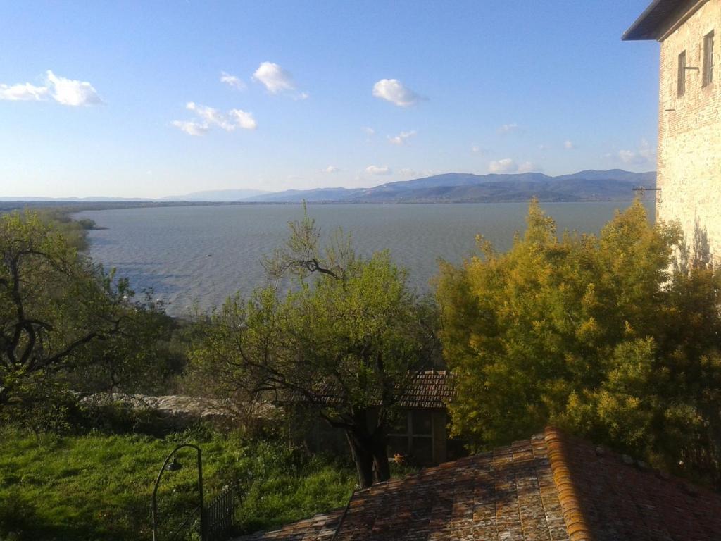 Ascanio Appartamenti photo 3
