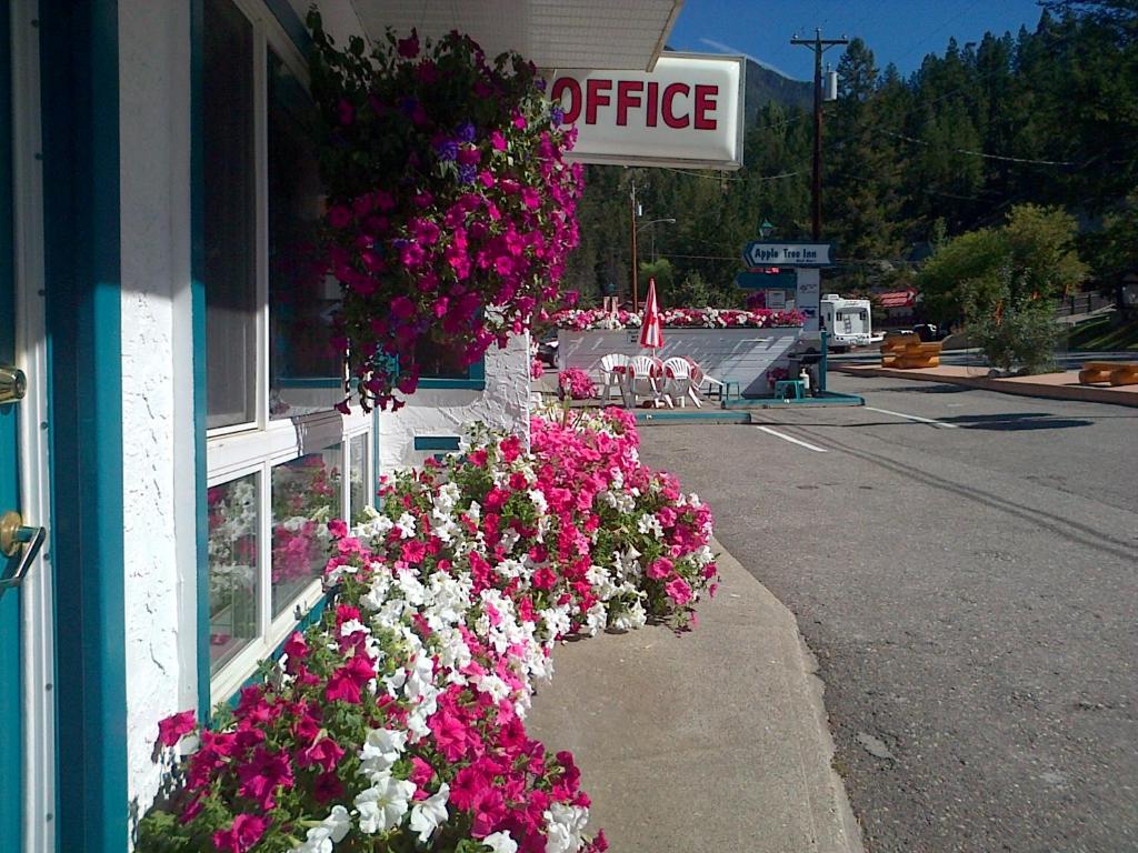 AppleTree Inn photo 3