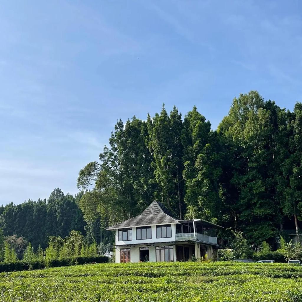KL villa