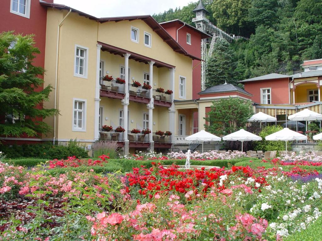 Parkhotel Bad Schandau mit SPA photo 4