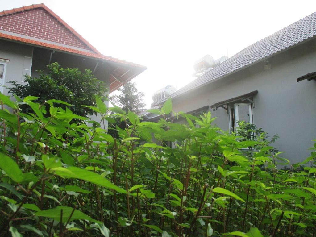 Manh Duyen Garden Homestay