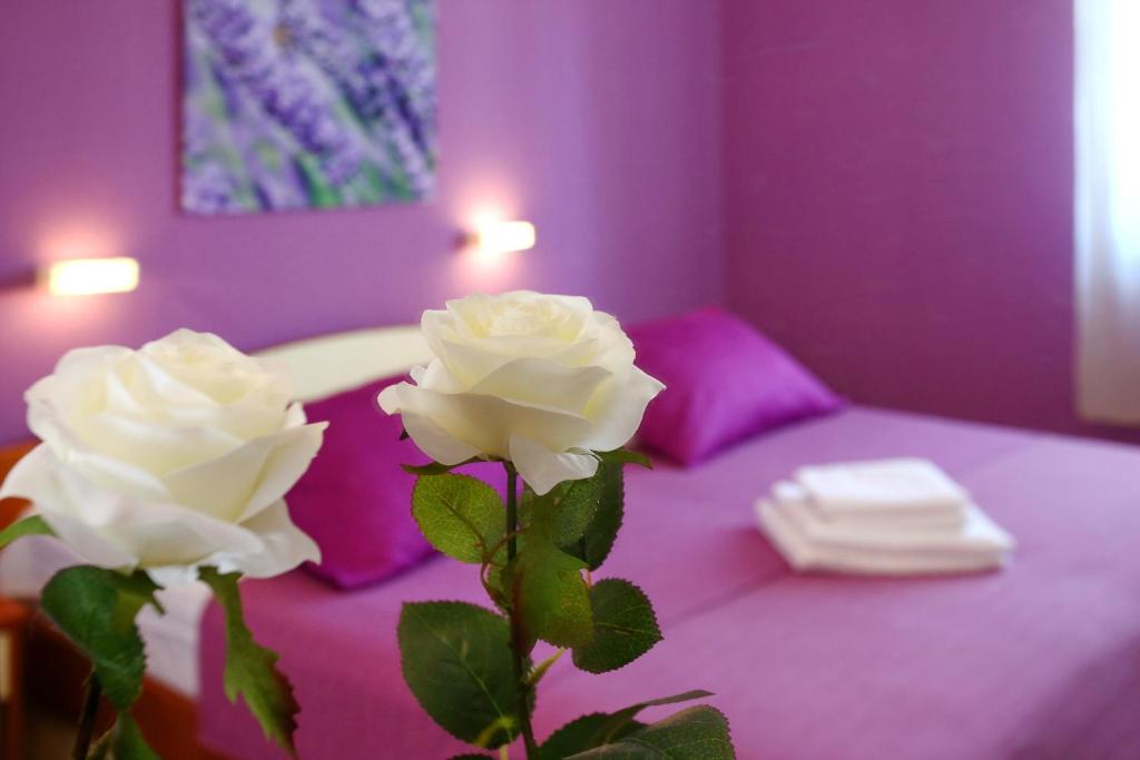Rooms & Apartments Soline Nuove photo 4