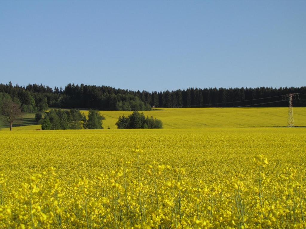 Stollenklause photo 4