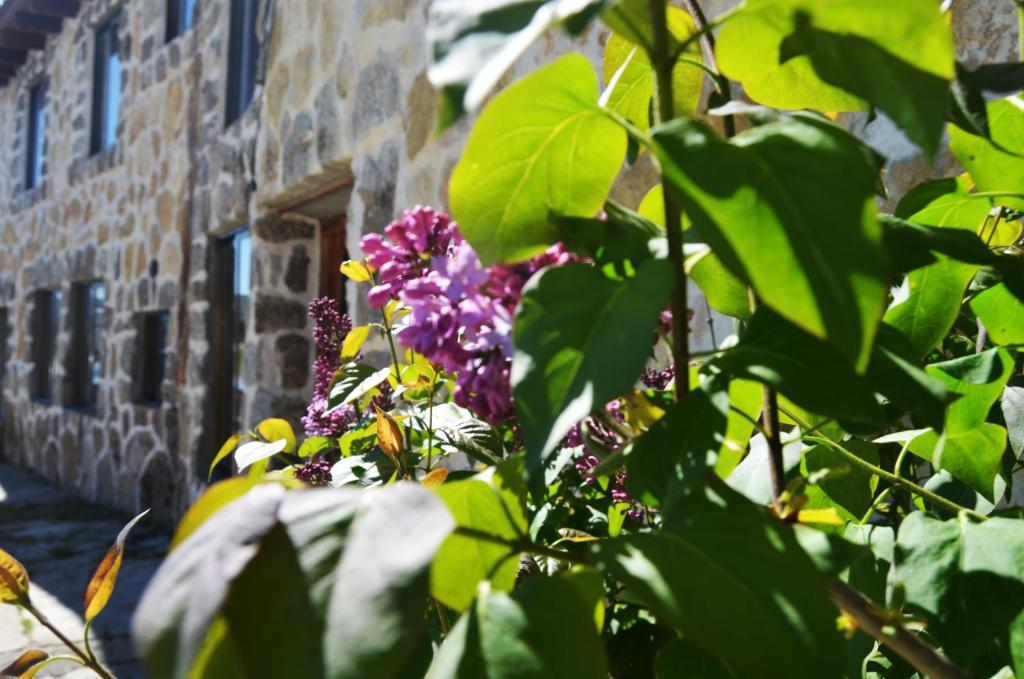 Hostal Refugio De Gredos photo 4