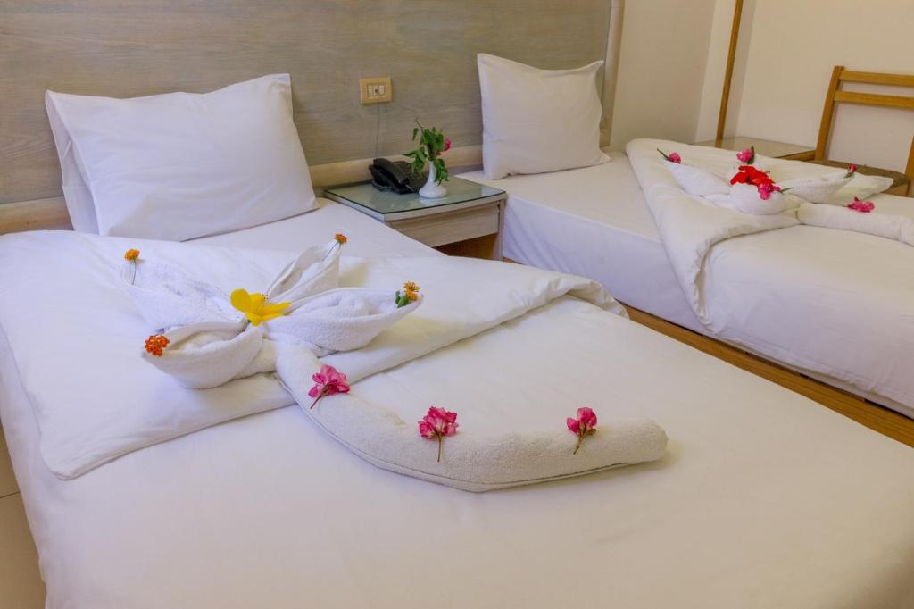 Двухместный (Классический двухместный номер с 1 кроватью), Acacia Dahab Hotel