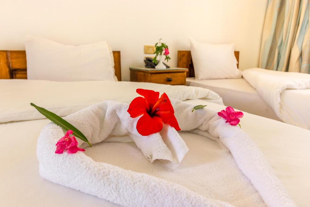 Трехместный (Классический трехместный номер), Acacia Dahab Hotel