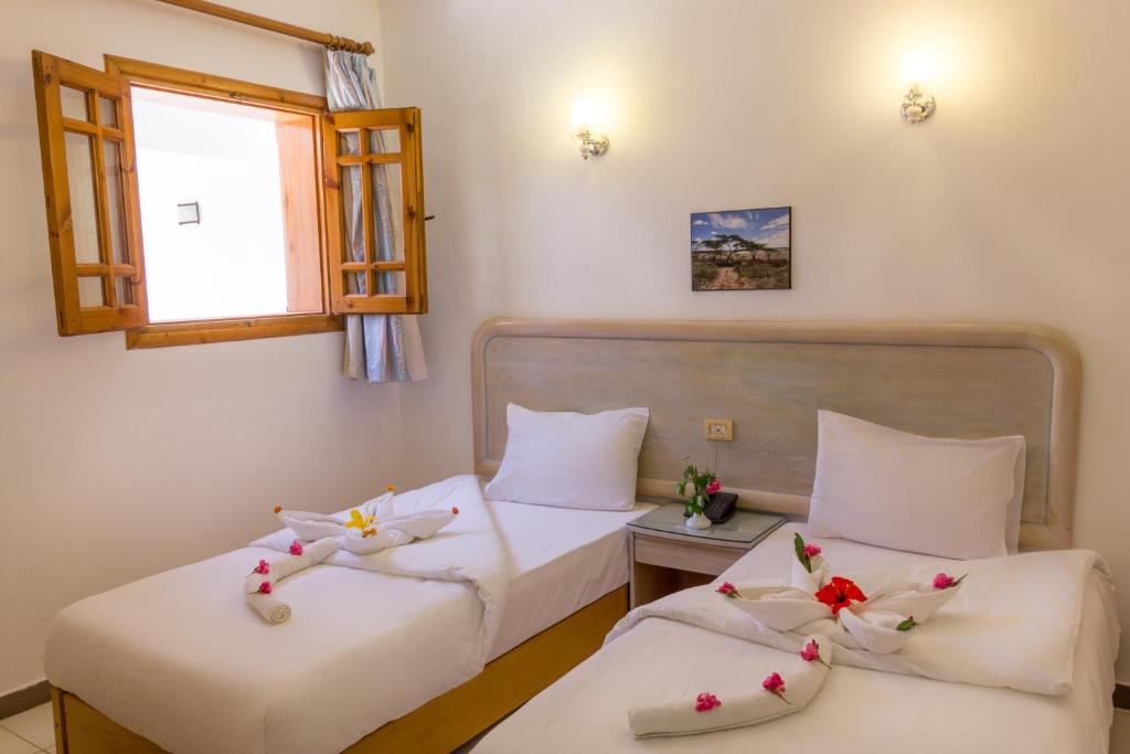Двухместный (Классический двухместный номер с 1 кроватью), Acacia Dahab Hotel