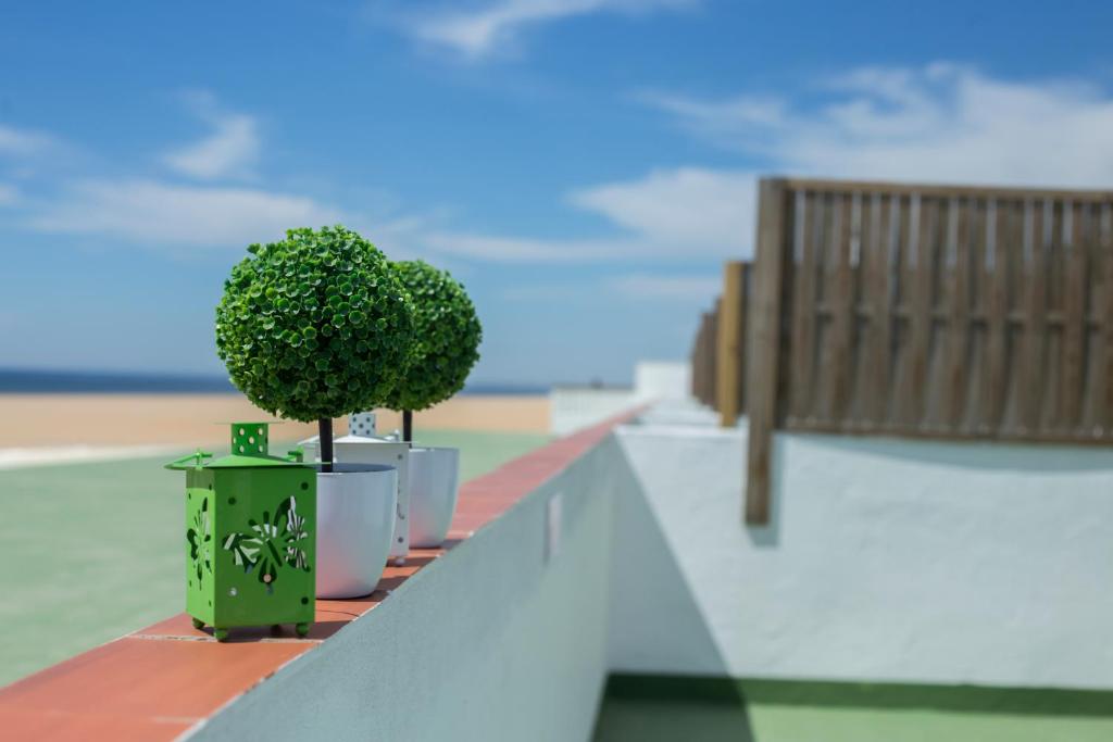 Apartamentos Calypso photo 1