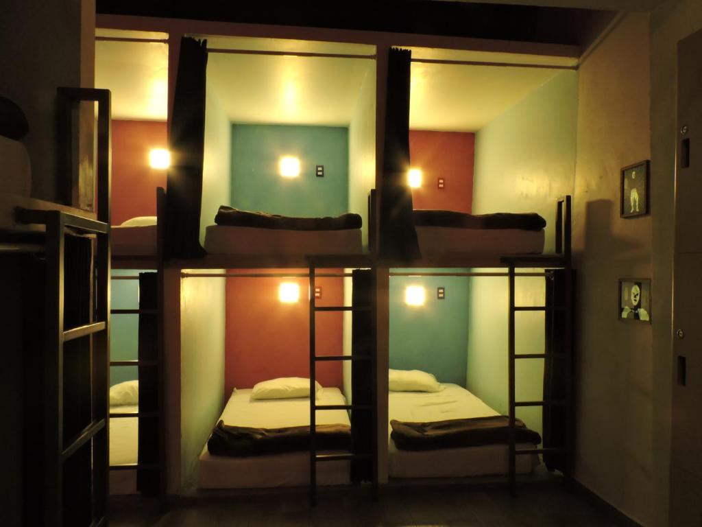 Номер (Односпальная кровать в общем номере для мужчин и женщин), Capsule Hostel