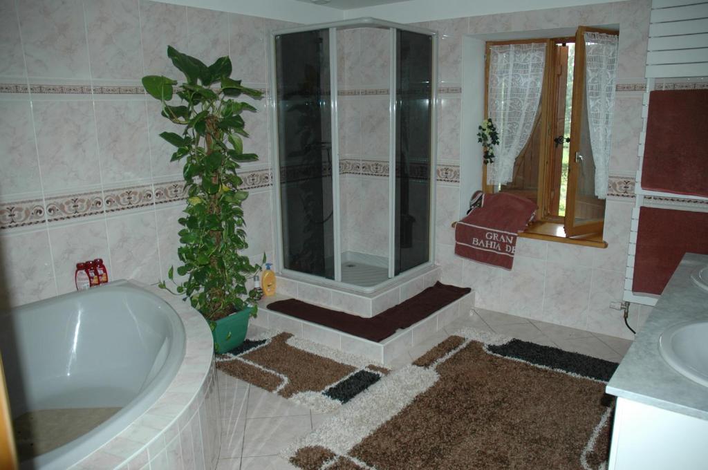 Chambres D'Hôtes Vosges Chez Sylvia Et Luiggi photo 4