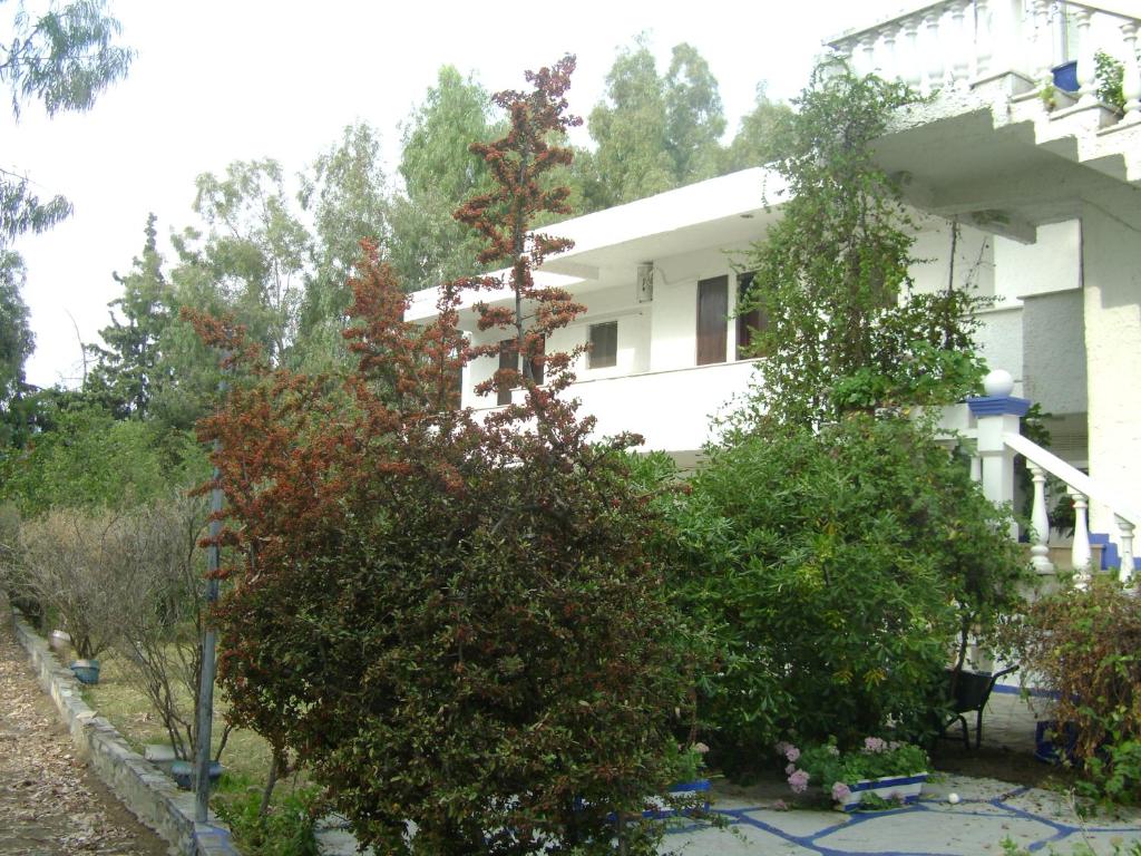 Villa Zoi