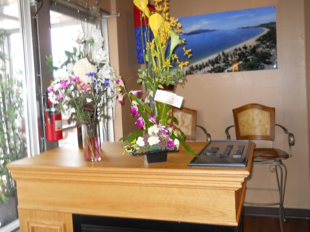 TC Motel photo 1