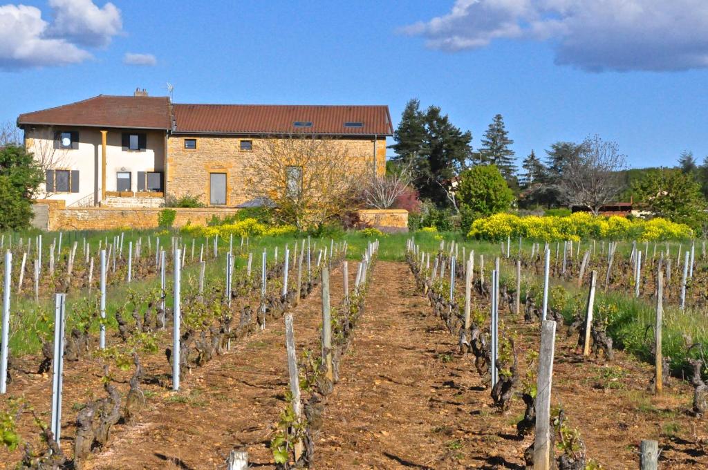 Le Clos du Cher en Beaujolais photo 4
