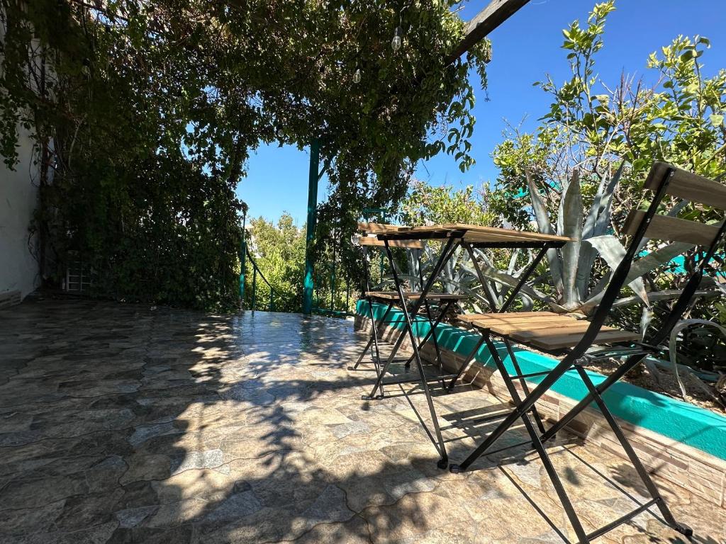 CABO BOHEMIA Tropical Garden Studios Room Type - Studio with Balcony