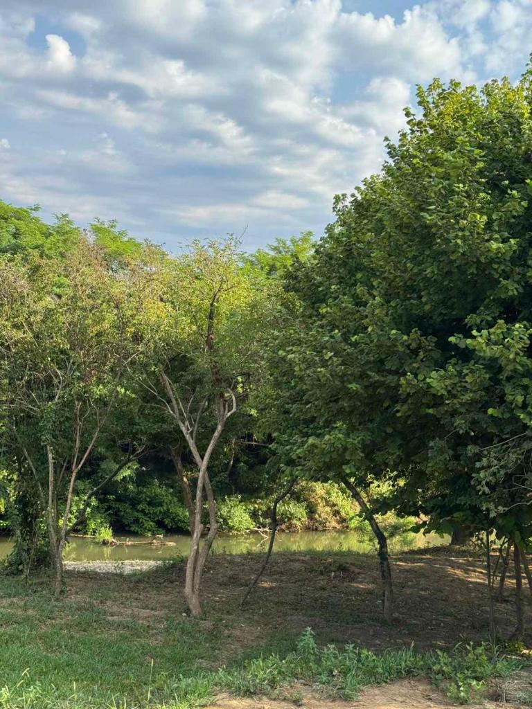 Villa Natura photo 1