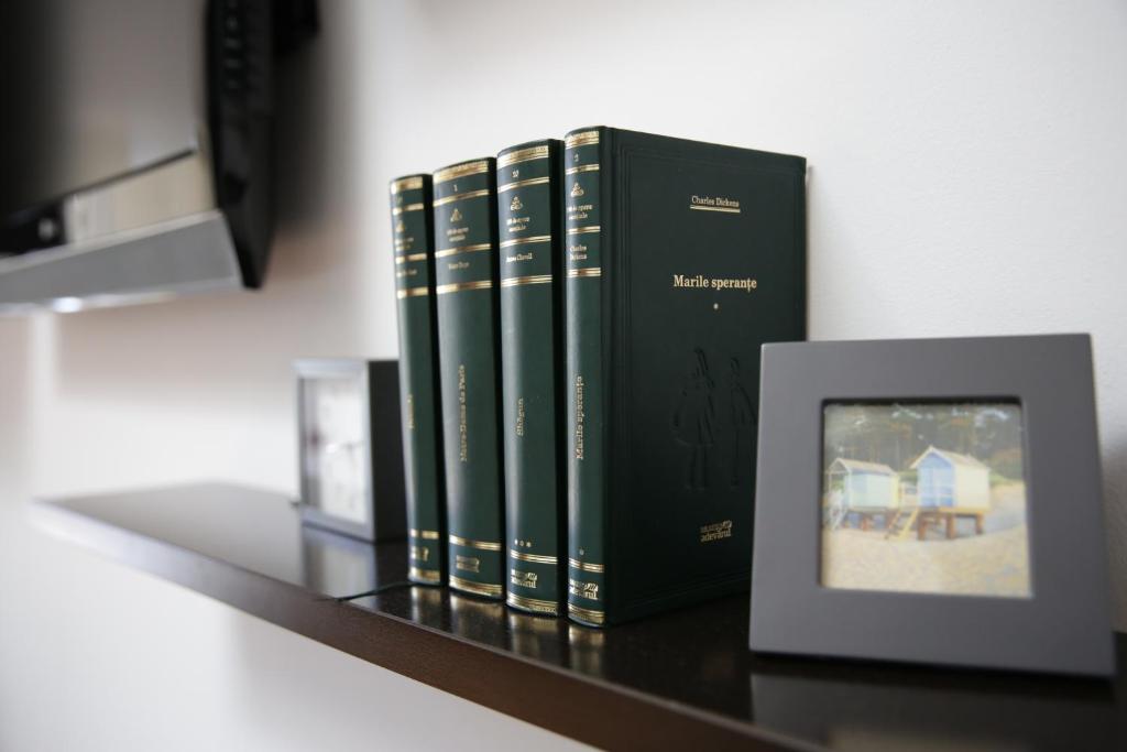 Студио (Стандартный номер-студио), Vilo's House