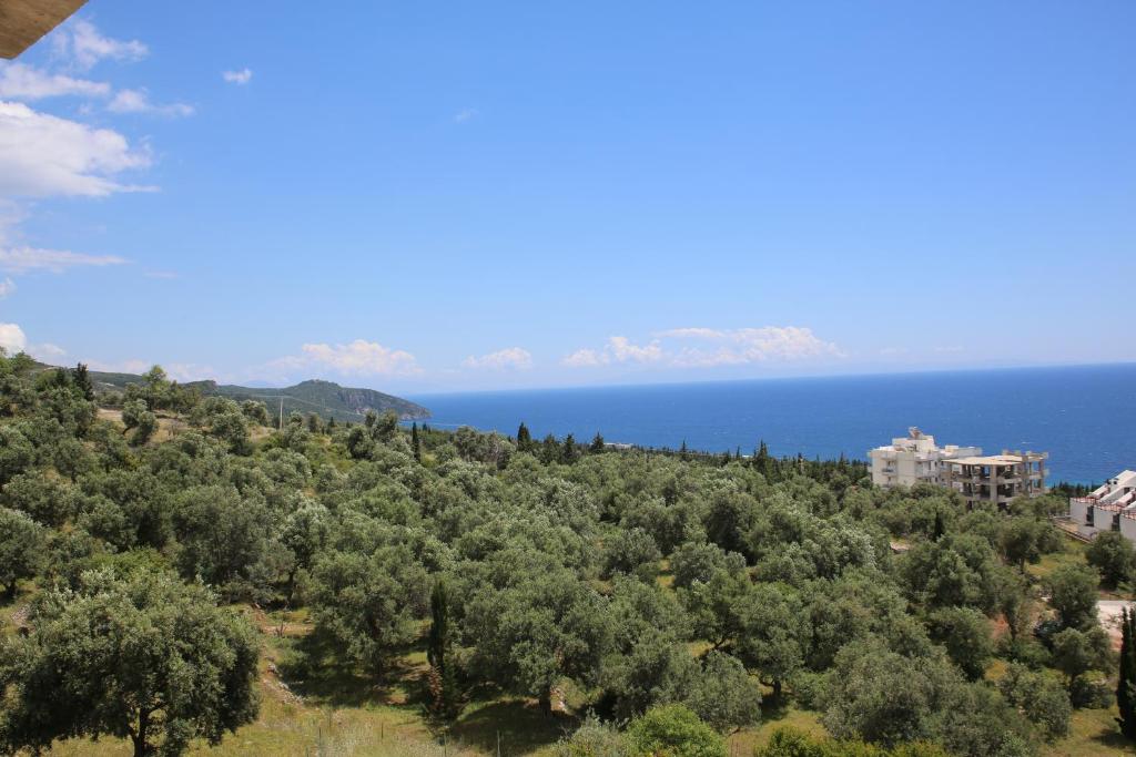La Maroja View Hotel photo 4