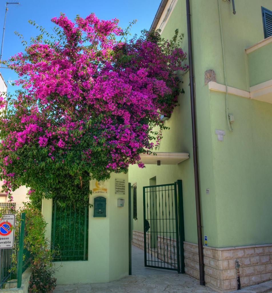 La Casa Del Nonno