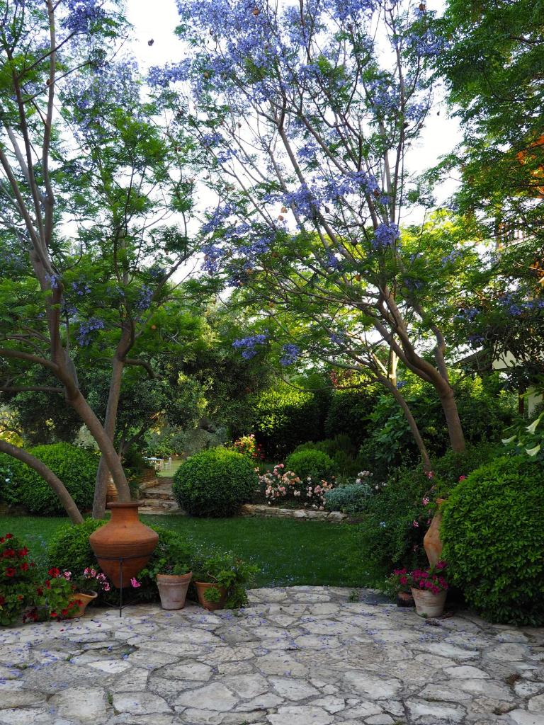 Emel Pension photo 4