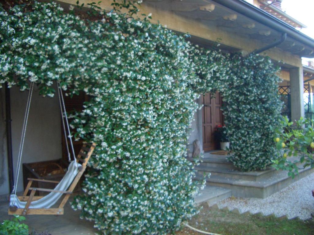B&B Luce Riflessa photo 1