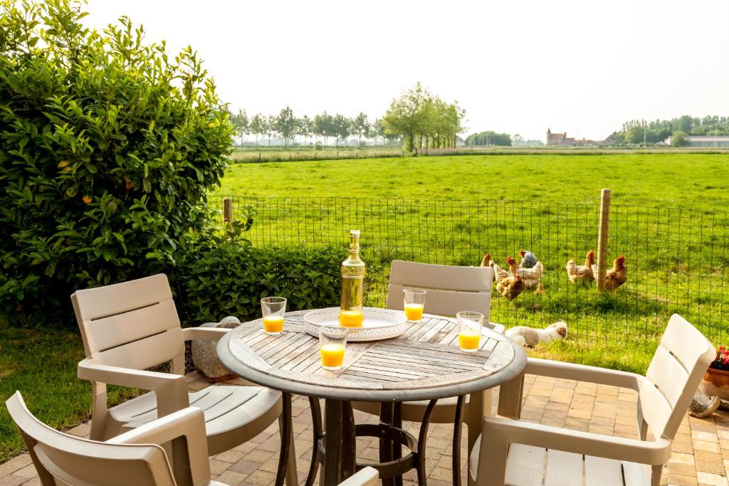 B&B Het Polderhof photo 3