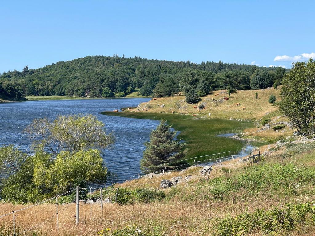 Villa Krågenes photo 3