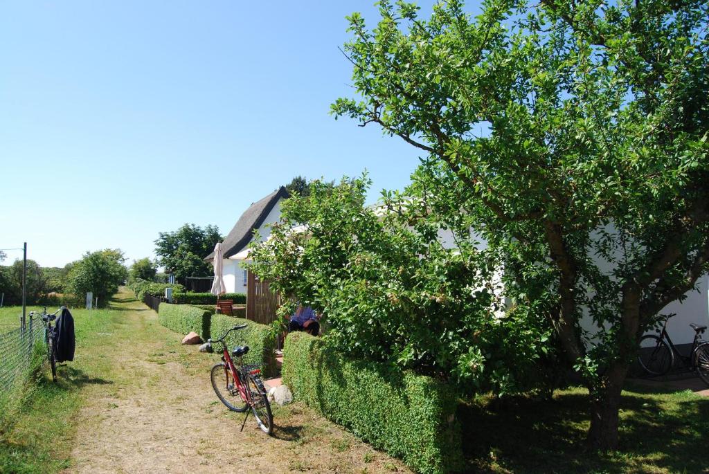 Ferienwohnung Hiddensee in Vitte photo 3