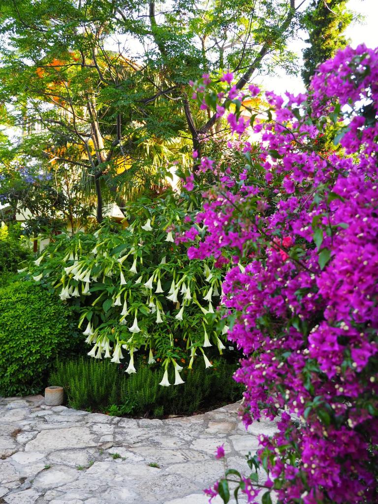 Emel Pension photo 3