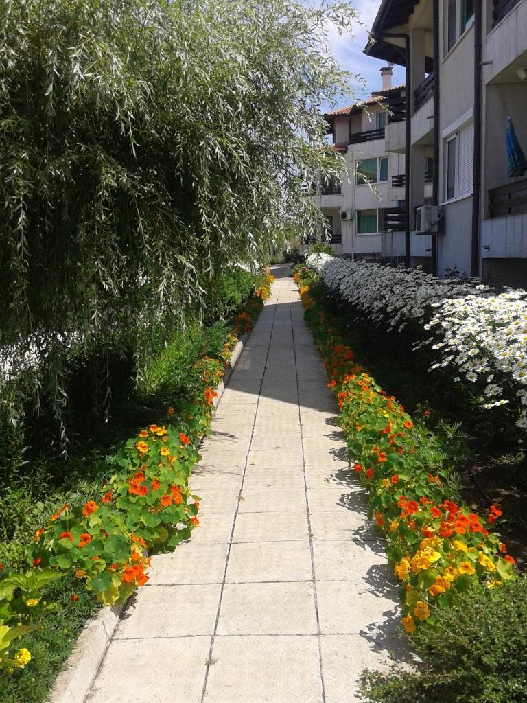 Caprice Apartment in Lozenec photo 1